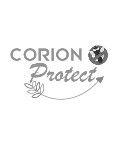 Sobre a Corion